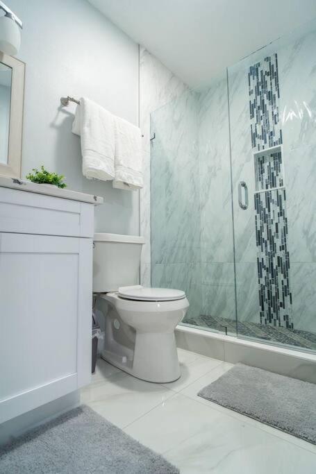 Grey Novo Studio + Free-Parking&Wifi Tampa Exterior photo